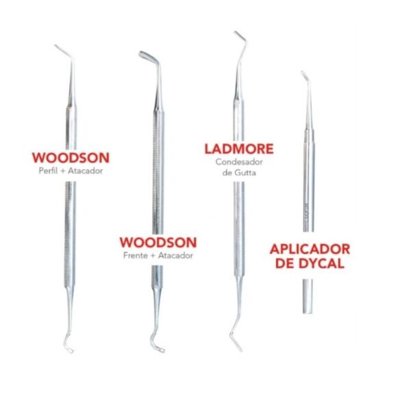 Aplicadores X Un. BELKYS