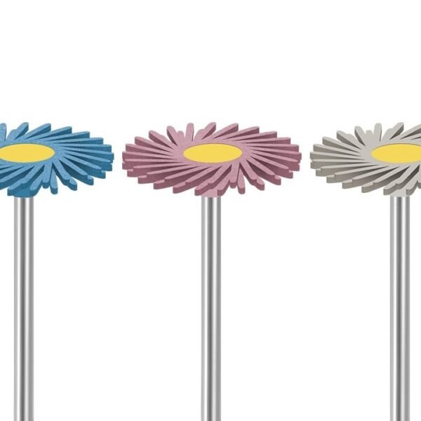 Pulidoras para Pieza de Mano Circonio/Porcelana EVE xUn.