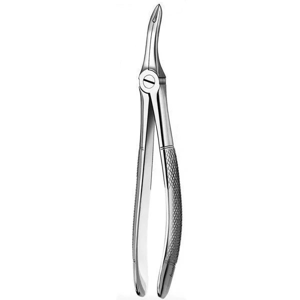 Forcep para Raíz N°44